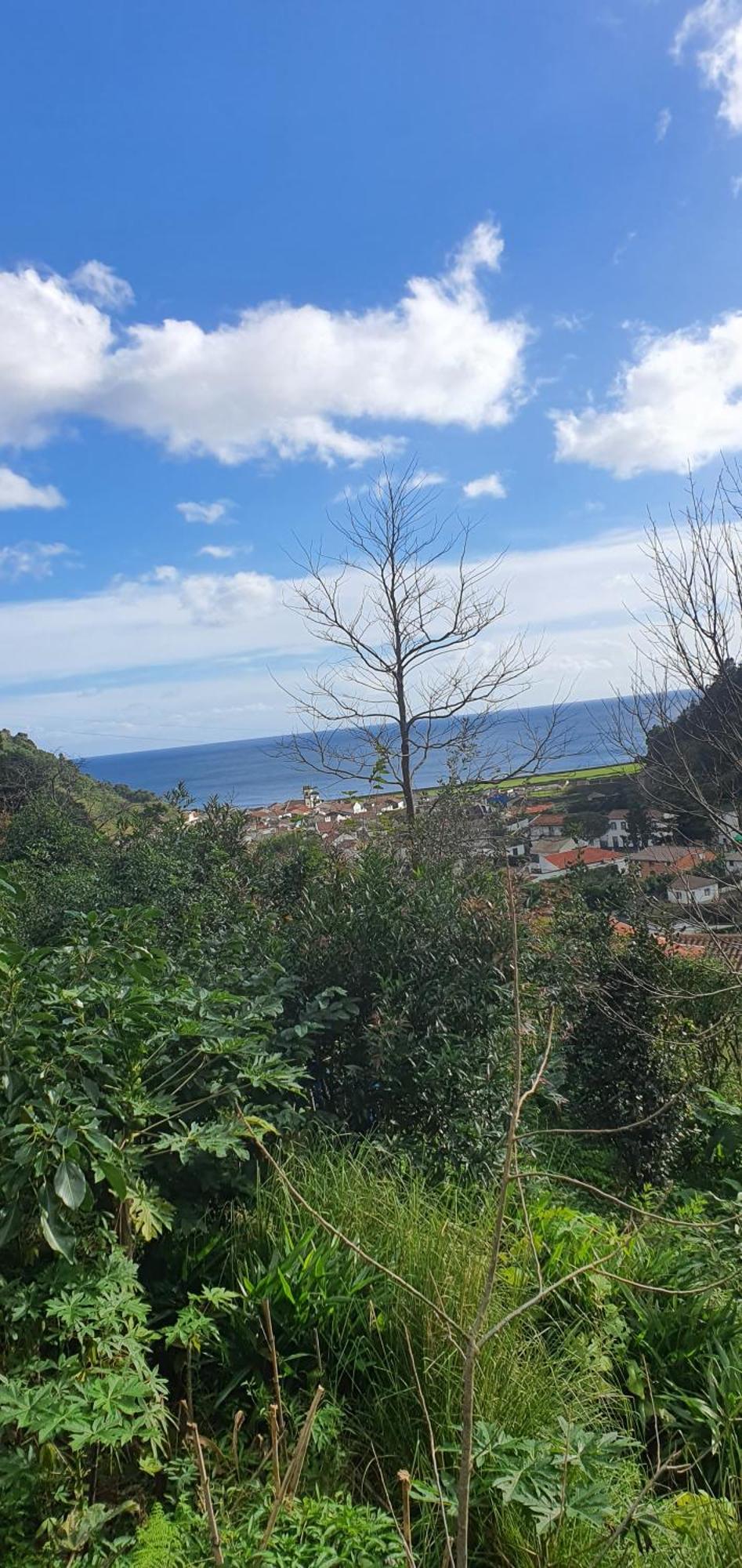 Casa Do Monte * Faial da Terra
