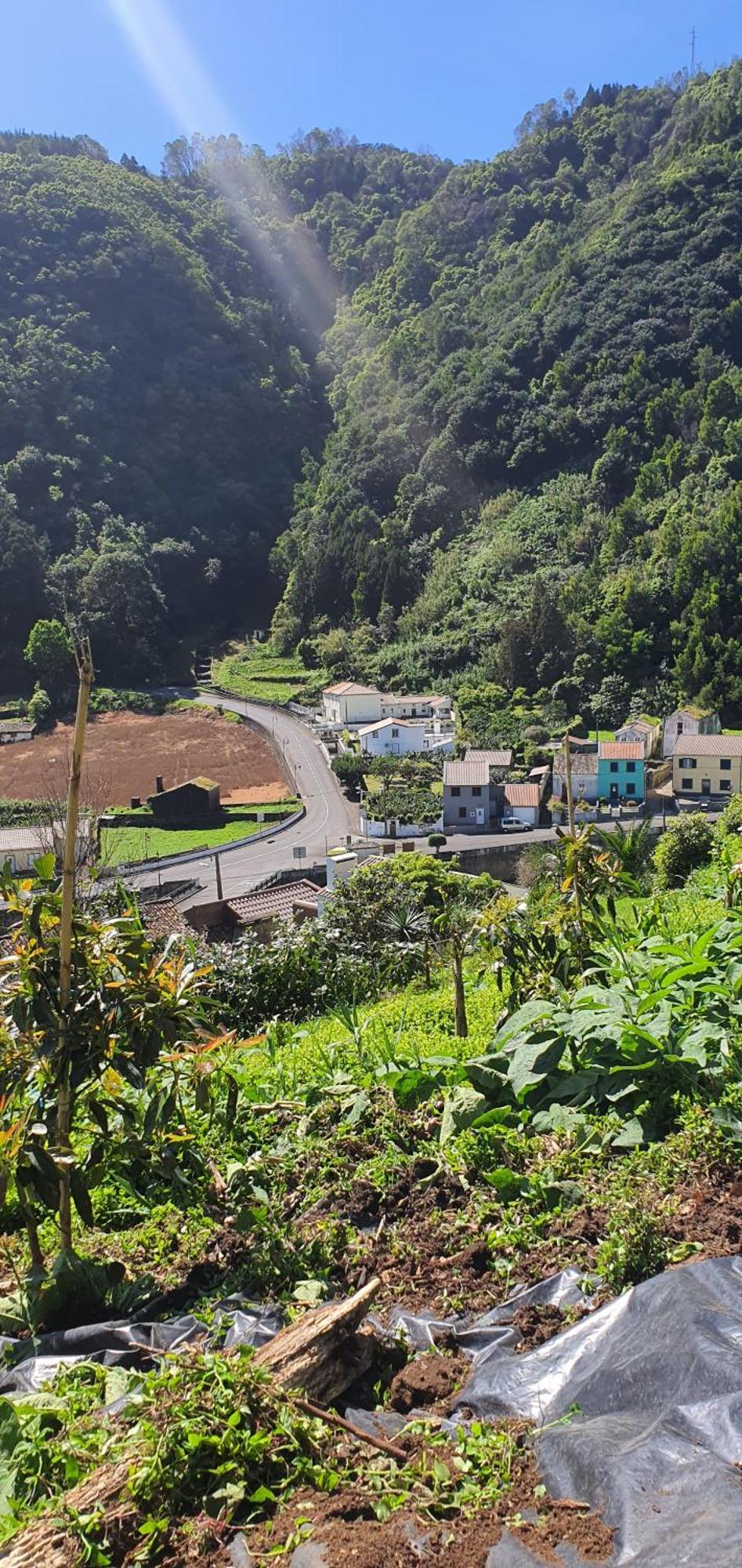 Casa Do Monte Faial da Terra